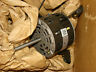 0131f00020sp Goodman Fan Blower Motor Hp Speed