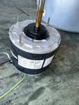 Packard 1/3 Horsepower Condenser Motor. Fixed Price $99.00.