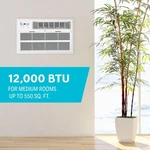 Arctic Wind Through-the-wall Air Conditioner 12,000 Btu Cooling 10,600. Fixed Price $397.00.